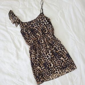 Leopard Print Dress